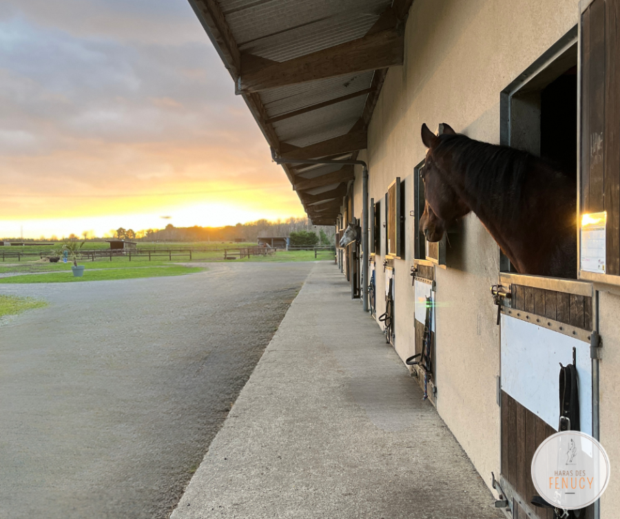 Pension de propritaires